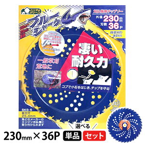 Oz u[V[N 230mm×36P @p `bv\[ { 1^3^5^10^25Zbg [GW @  ʑ  l G rn n ϋv ϋv]