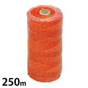 VZC dCp  250m (Xe3^IW) [d򃍁[v d]