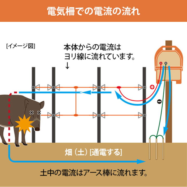 楽天市場】アポロ ソーラー電気柵 イノシシ用 2段張りセット (100m 