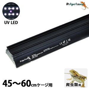 o[^Cv \E UV LED 400 45`60cmP[Wp (Rg[[t) [[XC ঒ O Cg ^C}[  T gJQ  Ɩ Ǝ z R ȃGl ybgybg][ Bar Typ