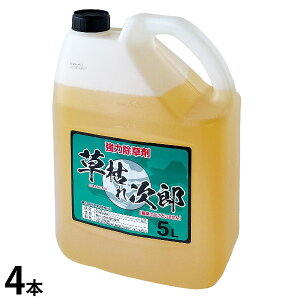 �V���Z�C ������ ���͂ꎟ�Y 5L ��_�k�n�p [���� �G��]