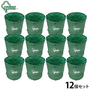 LkS~ M-15 1^4Zbg^12Zbg (XvO/e150L) [C[ S~ ݑ]