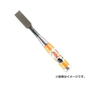 g Ǔ̂ 21MM 4977292120265 [̂݁EE Ǔ̂]