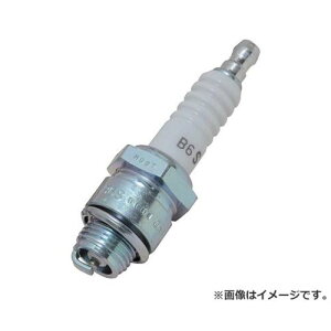 y[ցzZteB[3 GWpXp[NvO@NO.21 NGKFB6Sy_΃vO NGK `sI @z