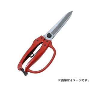 g K[htt NO.6 4977292633871 [ A؁E~]