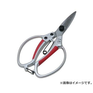 g A~A ʐn SGP-5NS 4977292638371 [ A؁E~]