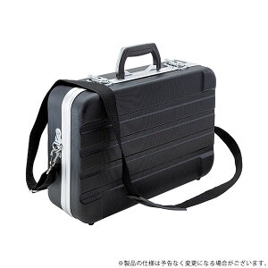 SK11 ABS�P�[�XABST-428 ABST-428 4977292979092 [�H� �̑� �H�]