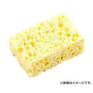 y[ցz^W}(Tajima) GCX~c{V8ږ SUMV8-WAT 4975364056924 [nEo n]