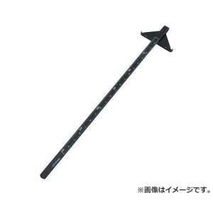 iCX ۋK(ʌ^) 300MM #1103 4953533011035 [ۋnE`bv\[ CubVEK]