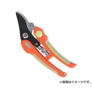 y[ցzT{e yؙ jp NO.1370 4976365137018 [ ]