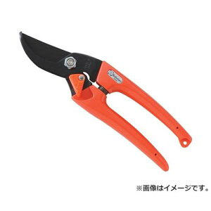 y[ցzT{e fB[X IW 4976365120119 [ ]