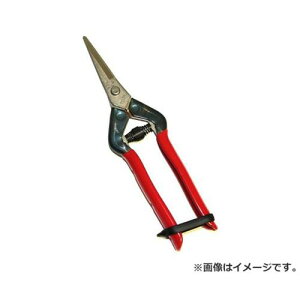 y[ցzߐ(`J}T) XeX T-55SH 4967645014013 [ ]