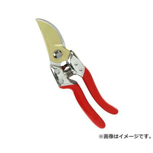 ߐ(`J}T) EgG8 PSA-G8 4967645131215 [ ]