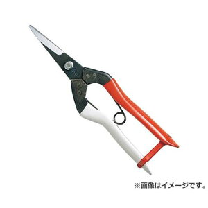 y[ցzP () NO.304 4968779304001 [ ]