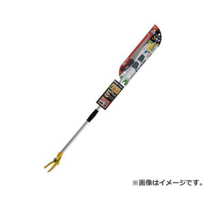 TV |[X3iArn No336 4954849103360 [} }({)]