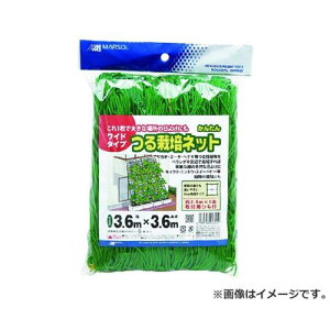 {}^C 񂽂͔|lbg 3.6MX3.6M 4989156008459 [̃lbg]