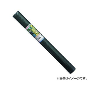 {}^C 悯V[g i` 1MX10M 4989156023032 [сEՌlbg]