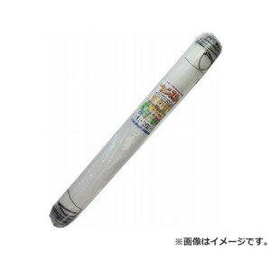 {}^C tFXlbg  1MX20M 4989156088512 [i hblbgEtFX]