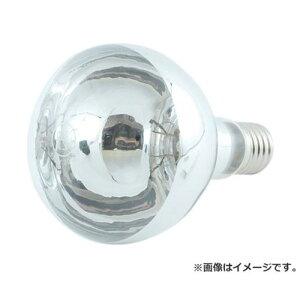 V ֋ 110V 300W 4984339600543 [ƁExEhƓ Eւ]