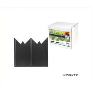 ZteB[3 K[fGbW 25 _C 4977292665513 [x]