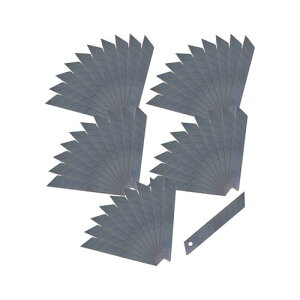 y[ցz NT Jb^[L^֐n n BL-51P 4904011016417 [EJb^[ KDS]