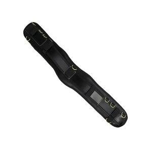 tW T|[gxgL PS-SLBG NL 4952520412435 [ TbN]