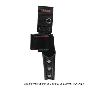 SK11 c[z_n}+DV 4977292969154