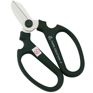 y[ցz⌹ nhNG[V F170 XO[ 4900686903526 [ ]