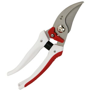 g K[f SGP-56 4977292635844 [^ K[fjO]