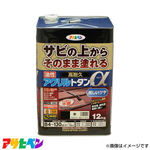 ATqy ϋvANg^p 12KG  AP9018296 [nEXPA  Ƃ]