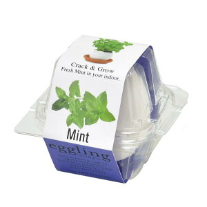 V| EG-5701 GbOO ~g 2050005 [͔|Lbg O[]