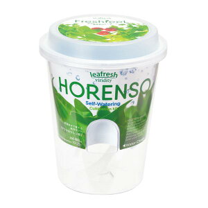 V| GD-81902 tbVtB[ T_zE\E 2050063 [͔|Lbg O[]