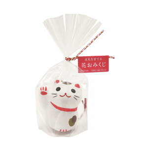 V| GD-32701 ݂Lq 2050248 [͔|Lbg O[]