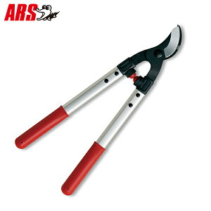 AX } bp[S LPB-30S [ARS }؂  ͂ nT~]