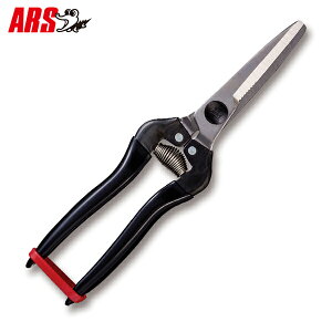 AX H pr XeX KG-300LW-DX-BP [ARS Ntg ͂ nT~ zr[]