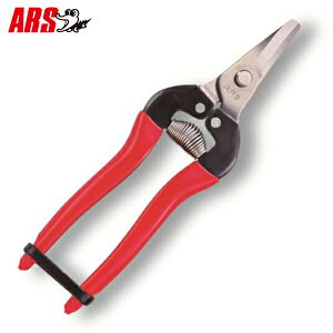 AX ̉ fbNX 310DX  [ARS E ̎ ͂ nT~]