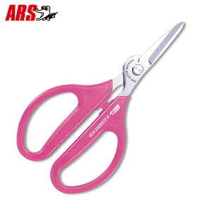 AX pr AXk[{[_u sN 3100-P [ARS ͂ nT~ Ntgp t[AWg ԗp |p]