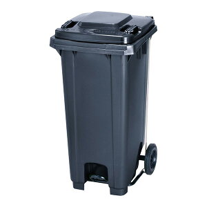 JCXC} WϔJ[g _XgJ[g KTP120 [ J[g]