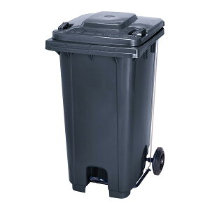 JCXC} WϔJ[g _XgJ[g KTP240 [ J[g]