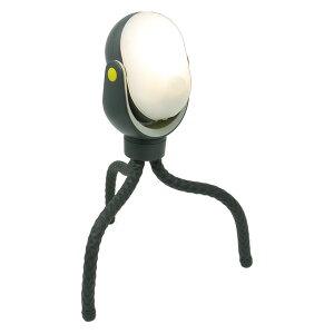 TV ǂłZT[Cg300 ASL-097 [LEDCg Ɩ h]