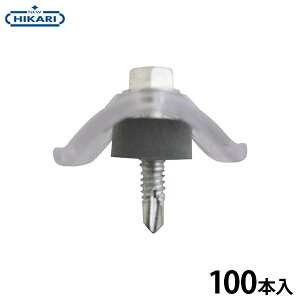 New Hikari (j[qJj grX |J 5×25 Snp NA 100{ SH-BNPS525C [J[|[g ֏ x_ ߋ  g g^]