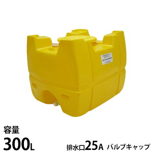 }[TH [[^N F SL-300 e300L ouLbvt [^N  _ i _]