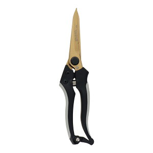 y[ցzsita `^R[eBO X[p[O͂ A919