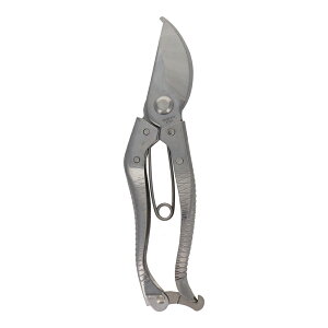 y[ցzsita I[XeX͂ 200mm A046