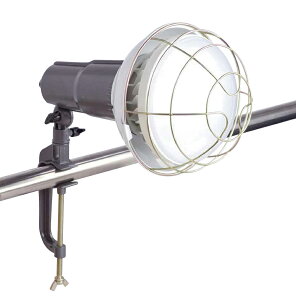 trad NvLED 50W TCL-50W