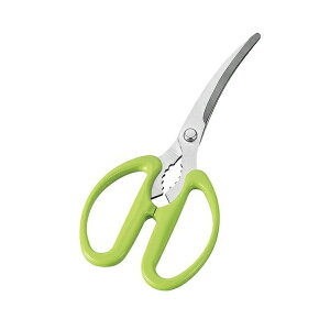 txW J[un͂ FV-402 [ \oT~  q oT~]