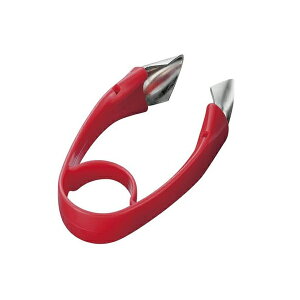 txW sRiw^j FV-601 [炦 ֗ Z]