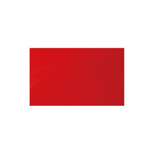 V }OV[g Ȃ B 10×30cm 0.8mm  72047 4960910720473