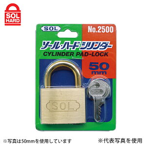 y[ցzSOL HARD(\n[h) 싞 #2500VP-60 V_[60mm (pbN) 09313307 [bJ[ Jo ] ۊǔ H Ԏ~|[]