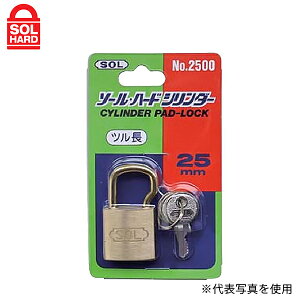 y[ցzSOL HARD(\n[h) 싞 #2500VP-25 V_[ c25mm (pbN) 09313319 [bJ[ Jo ] ۊǔ H Ԏ~|[]